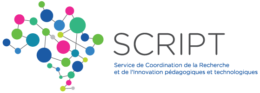 Script Logo